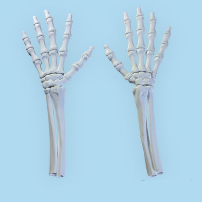 skeleton hand